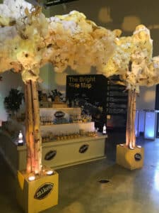 Mikes Hard Lemonade Brand Activation by EventFab